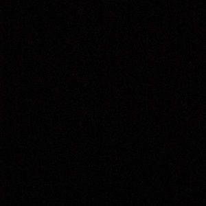 Meet your Posher, Lizette